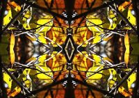 Digital Photographic Artwork by Sherrie Hall