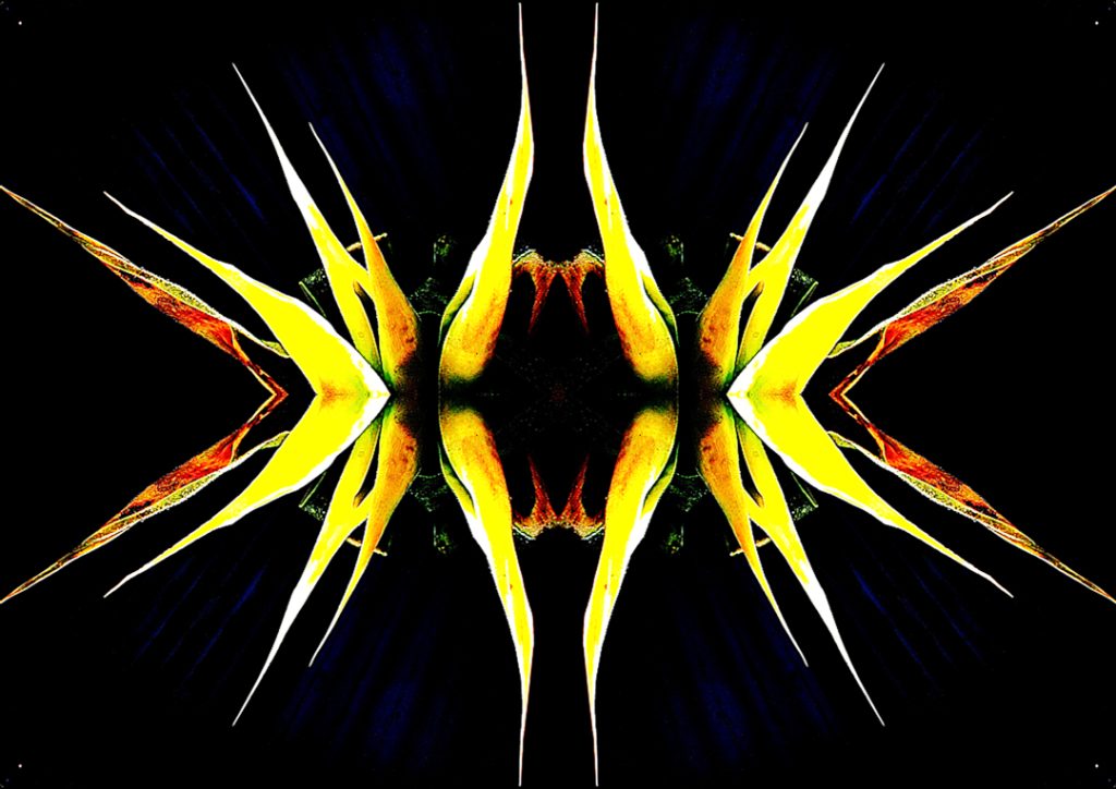 Cosmic Agave Sherriehallartist cosmic-agave-sherriehallartist